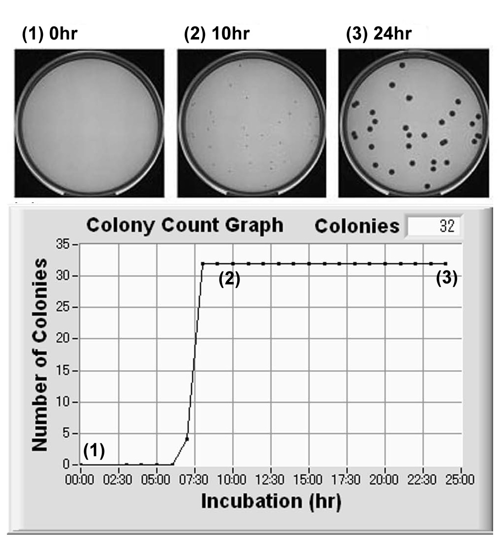 図13<em><noscript><img src=