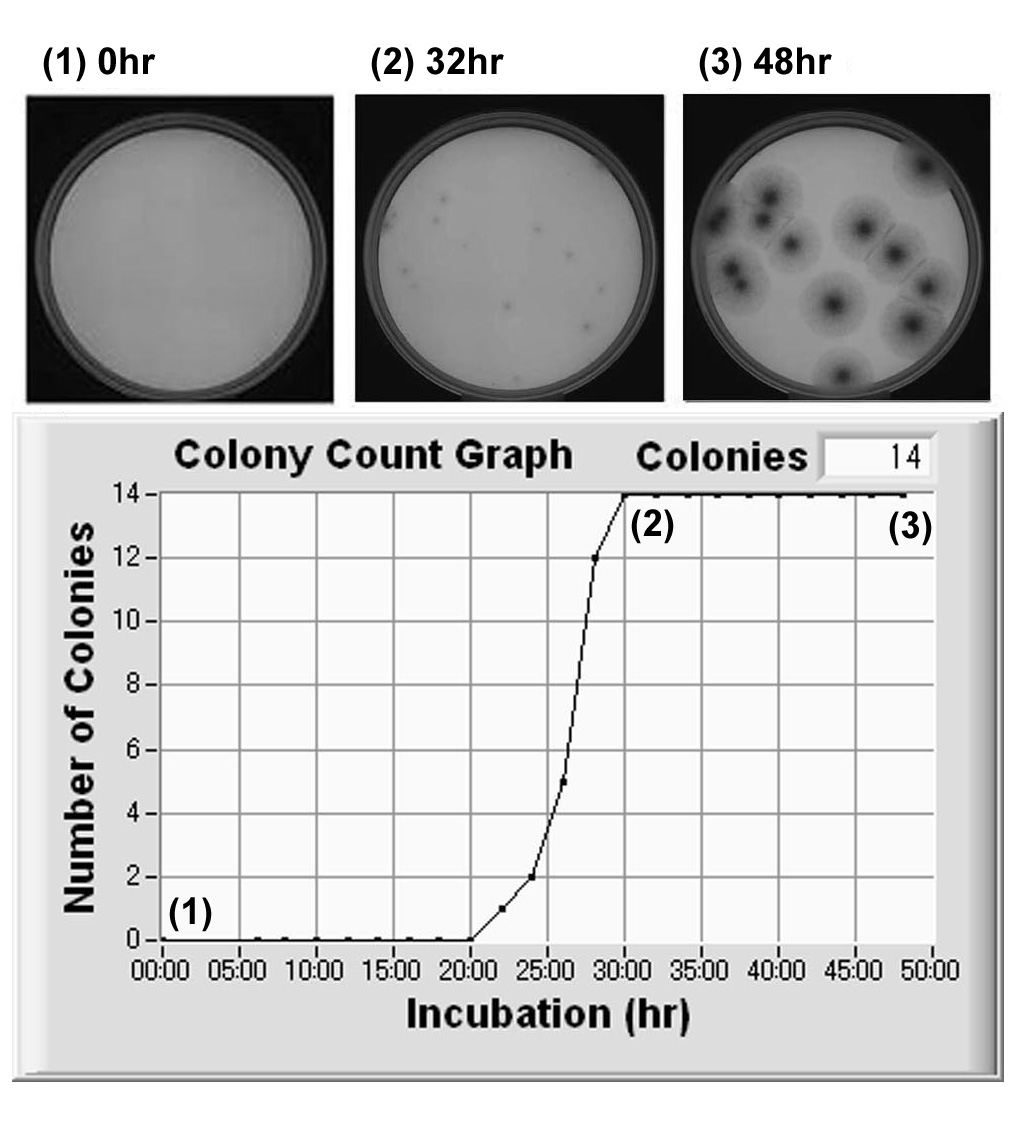 図14<em><noscript><img src=